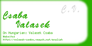 csaba valasek business card